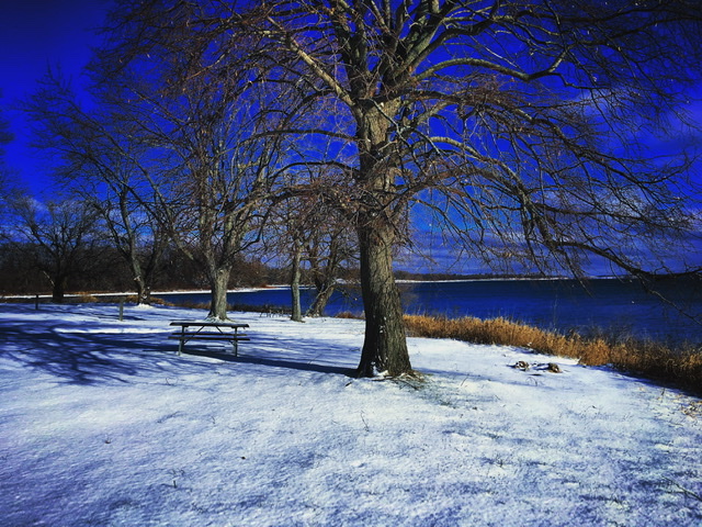 Week of winter activities